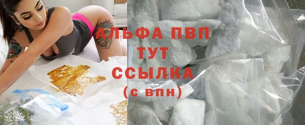ПСИЛОЦИБИНОВЫЕ ГРИБЫ Баксан