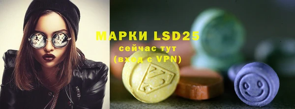 ПСИЛОЦИБИНОВЫЕ ГРИБЫ Баксан