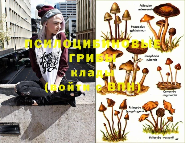 ПСИЛОЦИБИНОВЫЕ ГРИБЫ Баксан