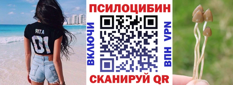 mega маркетплейс  Калуга  Галлюциногенные грибы прущие грибы 